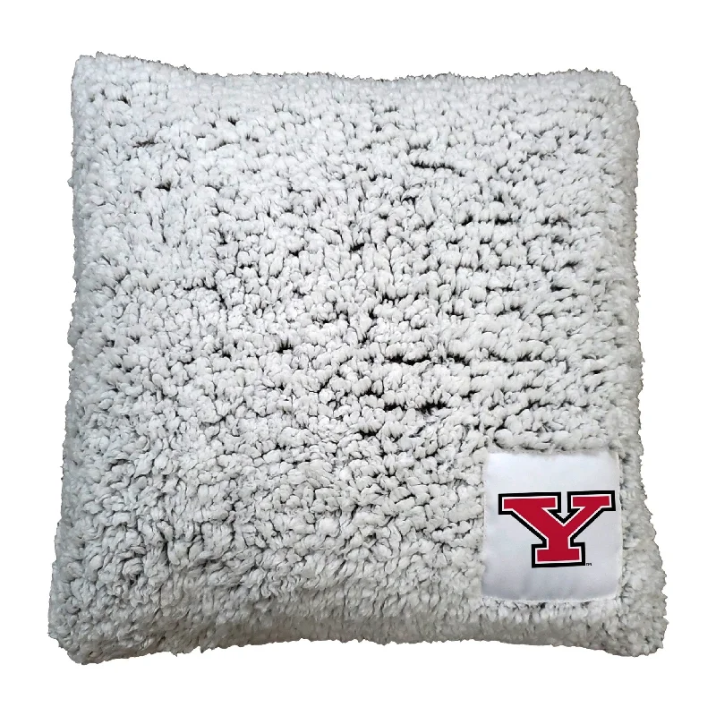 Team-themed bath towels for every fan-Youngstown State Frosty Throw Pillow