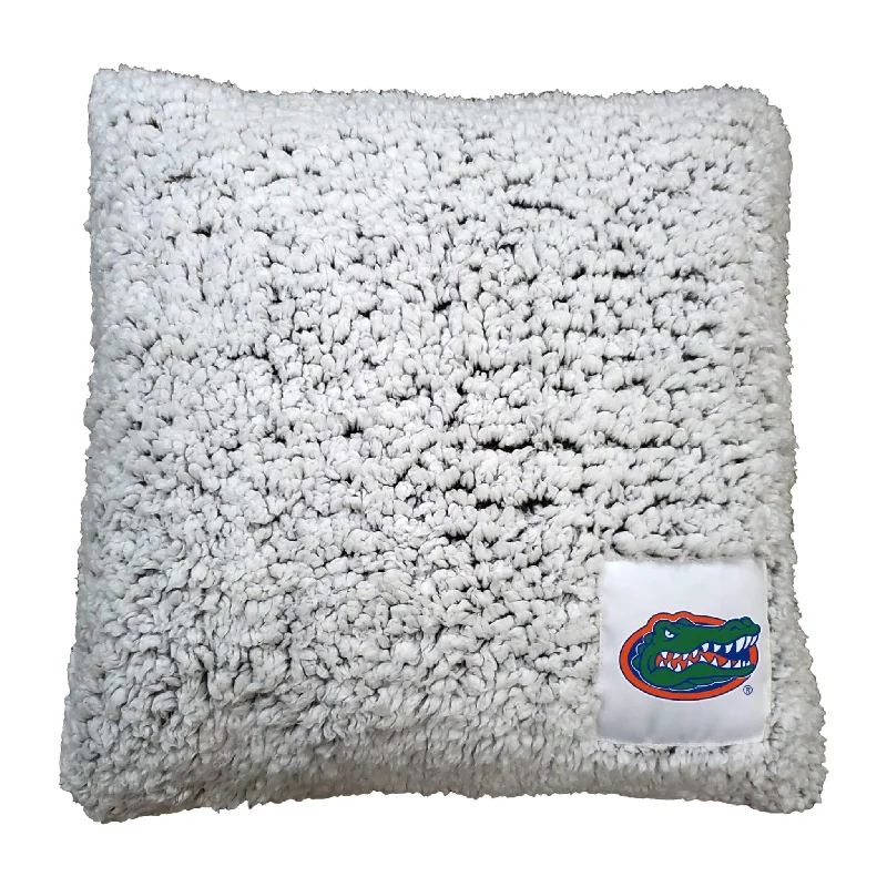 Team home textiles with eco-friendly materials-Florida Frosty Throw Pillow