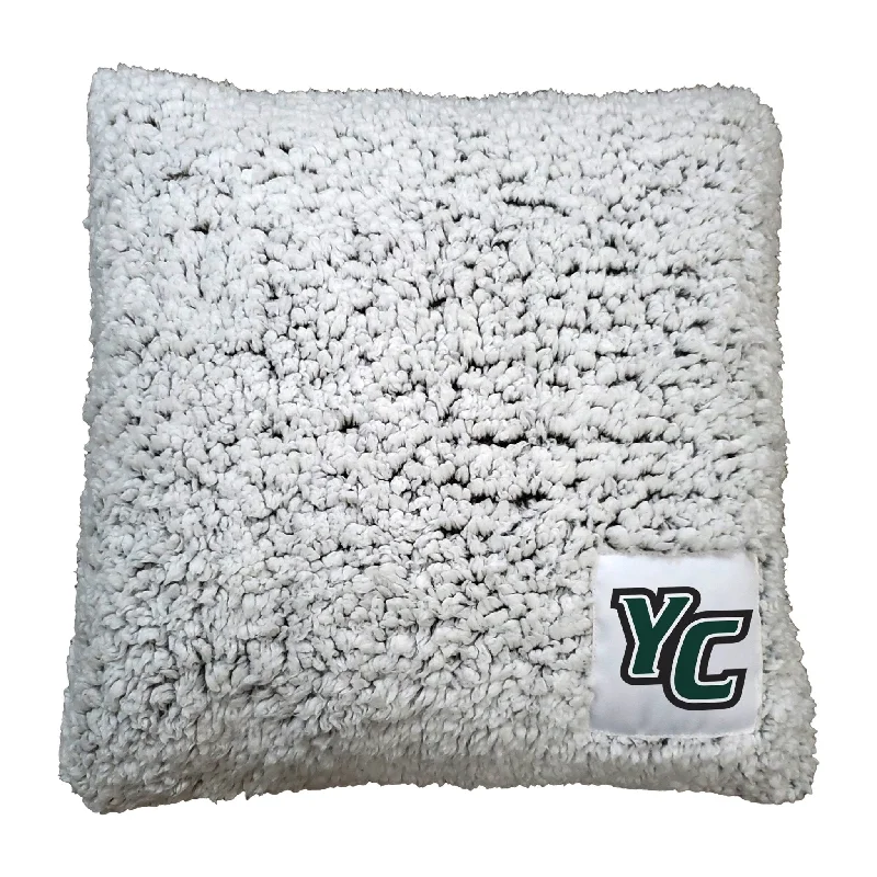 Team-themed home textiles for every fan in the family-York College Frosty Throw Pillow