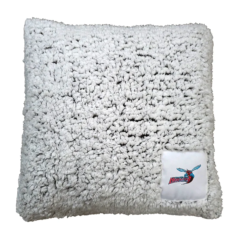 Premium team home textiles for sports enthusiasts-Delaware State Frosty Pillow